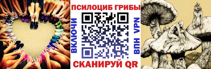 кракен сайт  купить  сайты  Нефтегорск  Псилоцибиновые грибы Psilocybe 